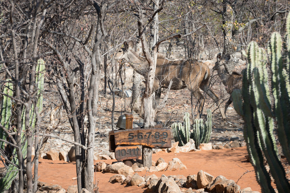Ongava Tented Camp - All-Inclusive Okaukuejo Exteriér fotografie