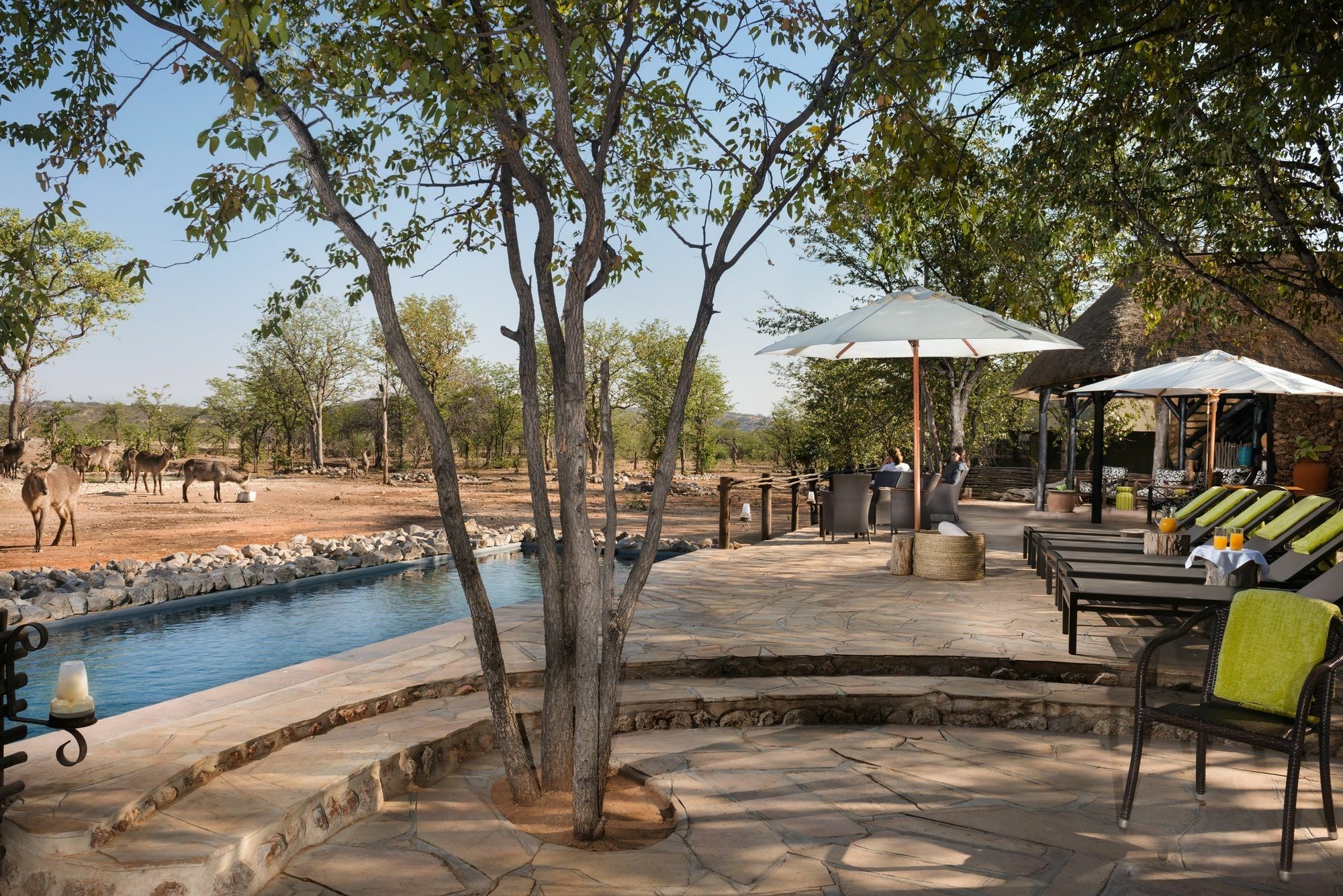 Ongava Tented Camp - All-Inclusive Okaukuejo Exteriér fotografie