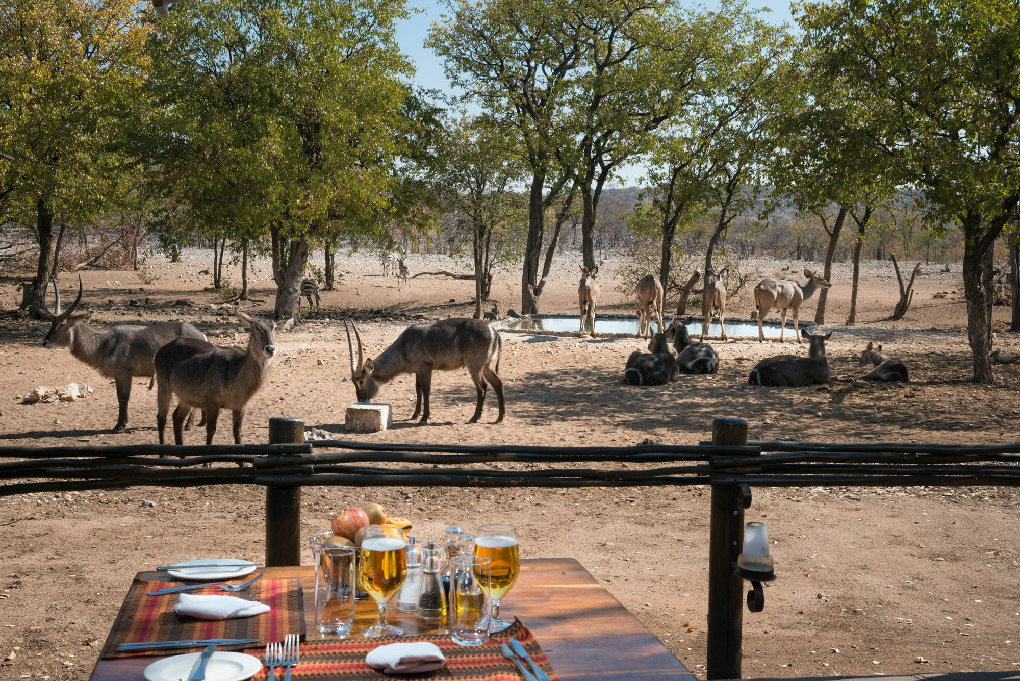 Ongava Tented Camp - All-Inclusive Okaukuejo Exteriér fotografie